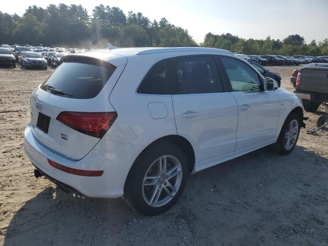 2016 AUDI Q5 PREMIUM WA1D7AFP5GA080689