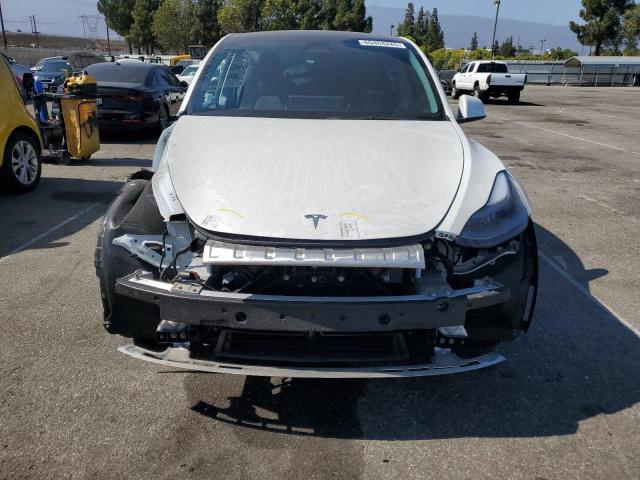 2025 TESLA MODEL Y 7SAYGDEE3SF255680
