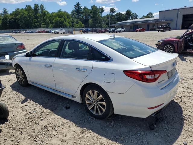 2016 HYUNDAI SONATA SPO - 5NPE34AF5GH426111