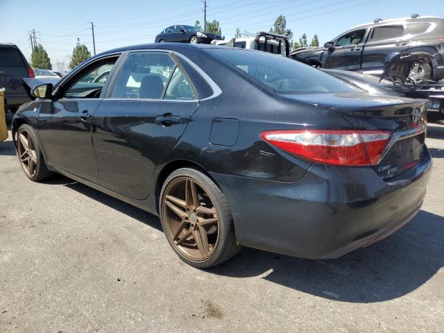 2016 TOYOTA CAMRY LE - 4T1BF1FK5GU517346