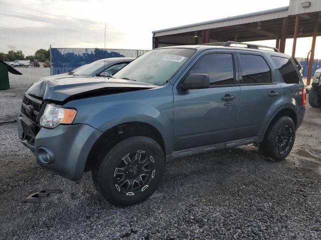2010 FORD ESCAPE XLT - 1FMCU9D7XAKD21557