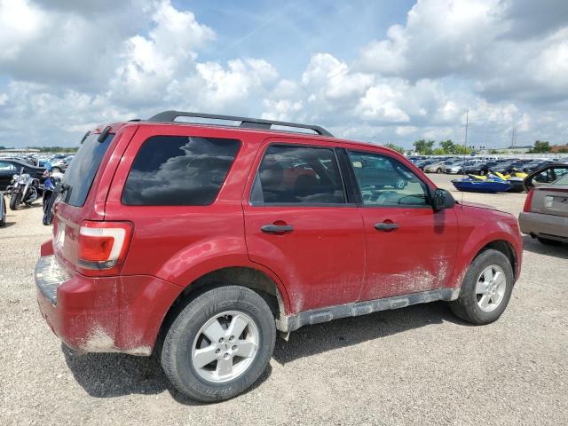 2011 FORD ESCAPE XLT - 1FMCU0D72BKC40548