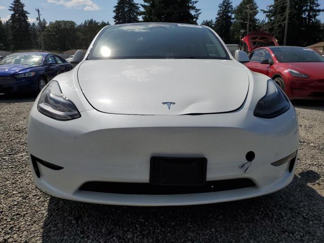 2023 TESLA MODEL Y 7SAYGDEE7PF804806