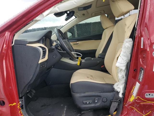 2021 LEXUS NX 300 BAS JTJDARBZ4M5031739