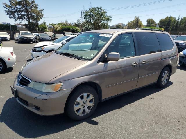 HONDA ODYSSEY EX
