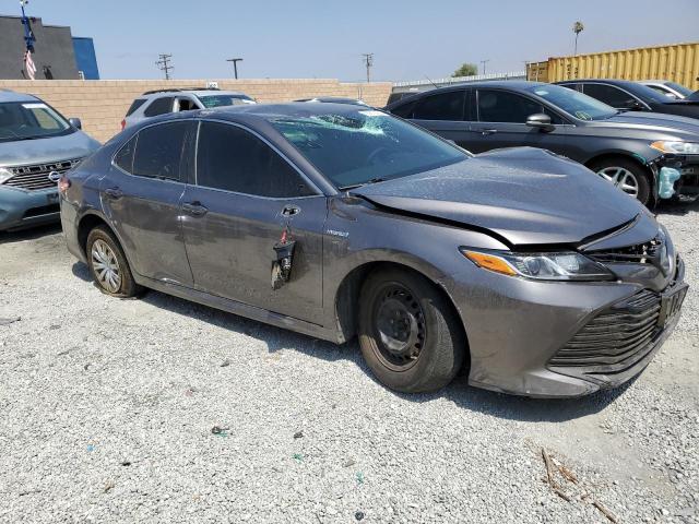 2019 TOYOTA CAMRY LE - 4T1B31HK4KU516896