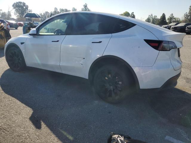 2024 TESLA MODEL Y 7SAYGDED1RF095591