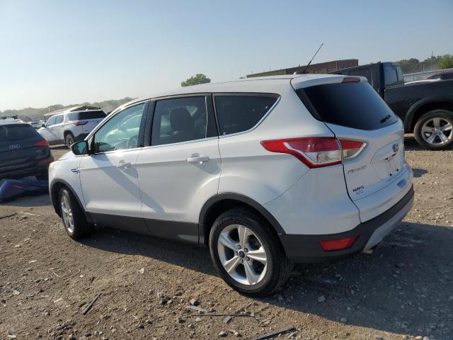 2014 FORD ESCAPE SE - 1FMCU0GX5EUB45907