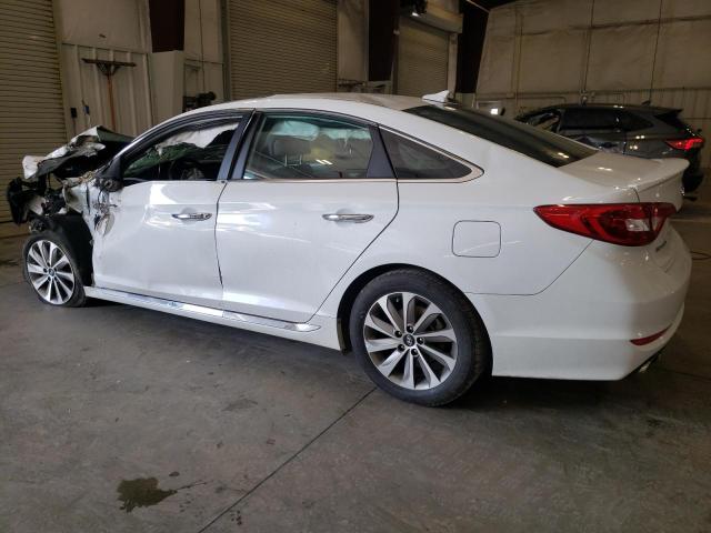 2017 HYUNDAI SONATA SPO - 5NPE34AF0HH519958