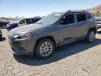 2021 JEEP CHEROKEE L - 1C4PJLMXXMD180669