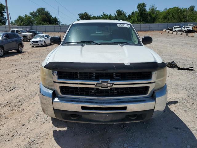 2010 CHEVROLET SILVERADO - 1GC4KXBG3AF136734