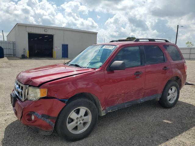 2011 FORD ESCAPE XLT - 1FMCU0D72BKC40548
