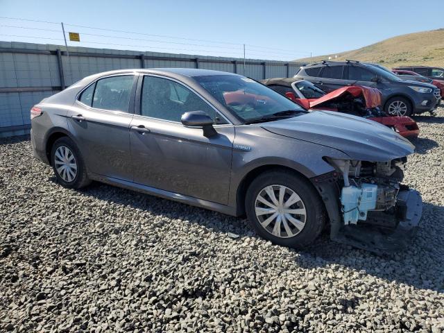 2019 TOYOTA CAMRY LE - 4T1B31HK1KU515009