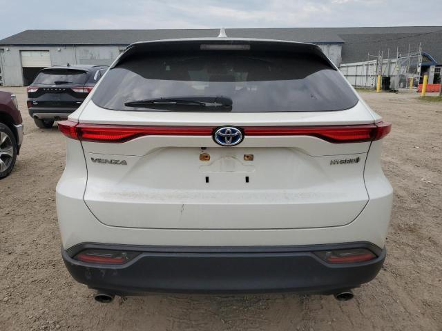 2021 TOYOTA VENZA LE JTEAAAAH3MJ021562