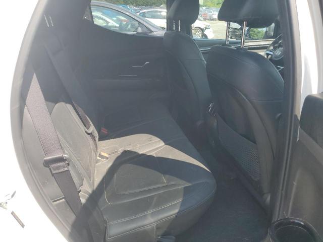 2023 HYUNDAI SANTA CRUZ 5NTJEDAF3PH064046