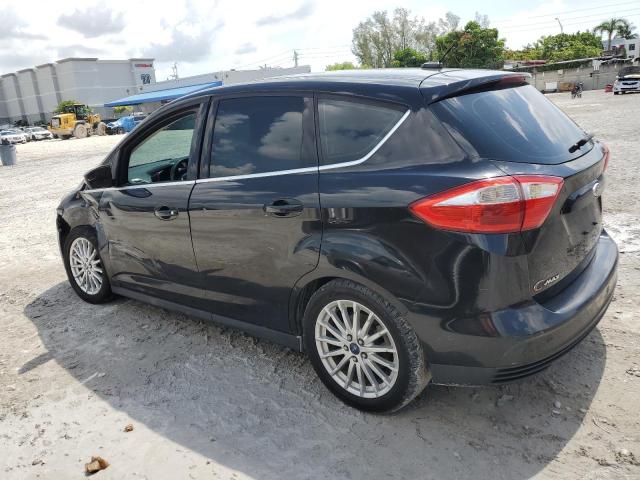 2013 FORD C-MAX SEL - 1FADP5BU8DL548879