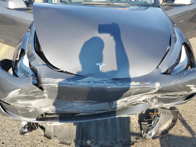2023 TESLA MODEL Y 7SAYGDEE2PF895290