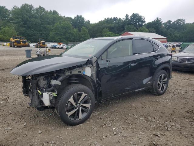 Vin: jtjgjrdz8m2150521, lot: 62656295, lexus nx 300h base 2021 img_1