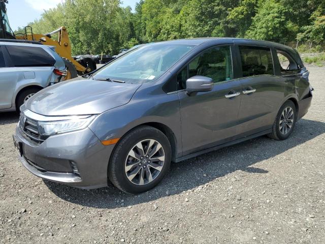Global Auto Auctions: 2024 HONDA ODYSSEY EX