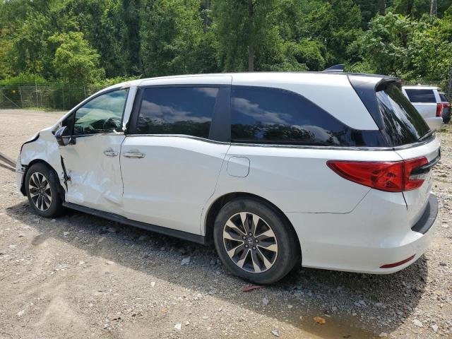 2023 HONDA ODYSSEY EX 5FNRL6H60PB020805