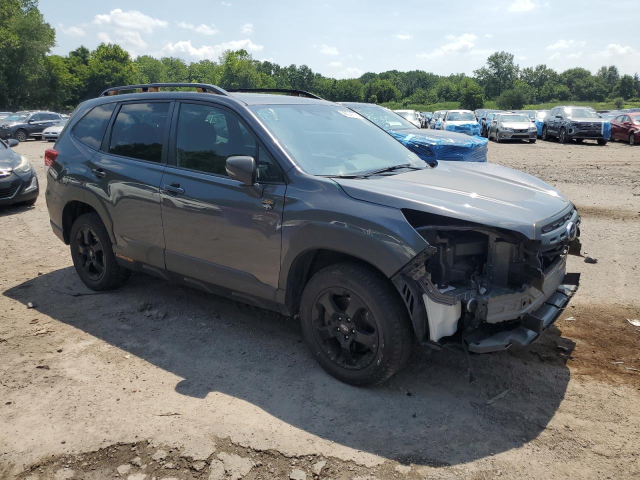 SUBARU FORESTER WILDERNESS