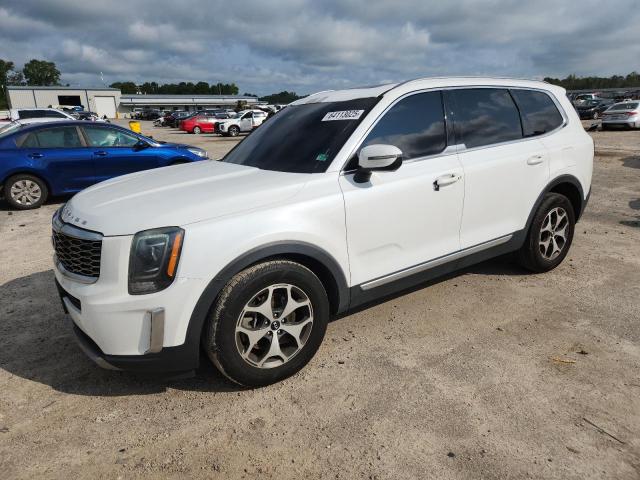 2020 KIA TELLURIDE - 5XYP3DHC6LG008470