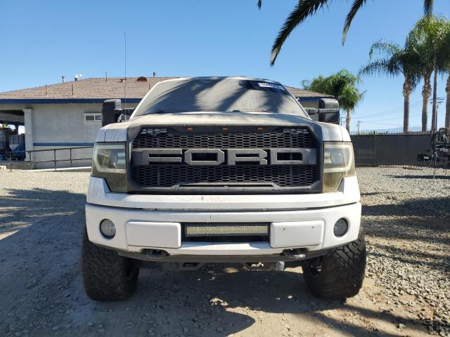 2010 FORD F150 SUPER - 1FTFW1EV0AFD66719