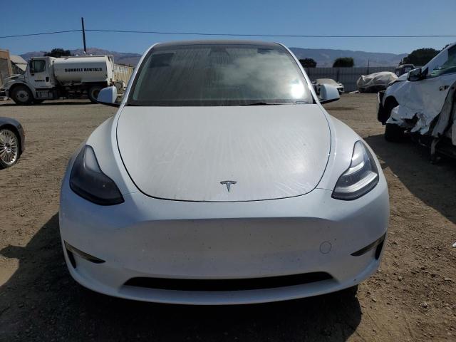 2023 TESLA MODEL Y 7SAYGDEE0PF648317