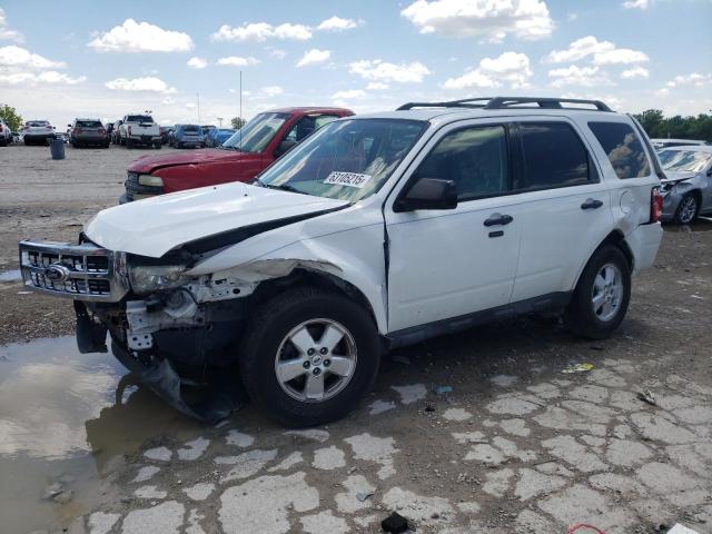Vin: 1fmcu0d78akb28447, lot: 63105215, ford escape xlt 2010 img_1