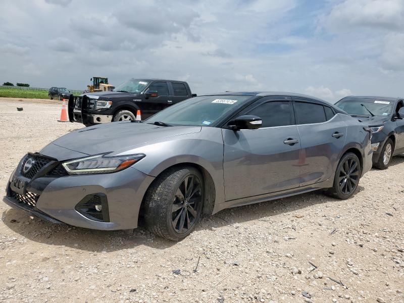 2023 NISSAN MAXIMA SR 1N4AA6EV2PC503942