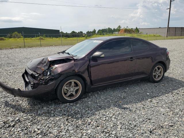 TOYOTA SCION TC 2010 purple  gas JTKDE3B73A0306280 photo #1