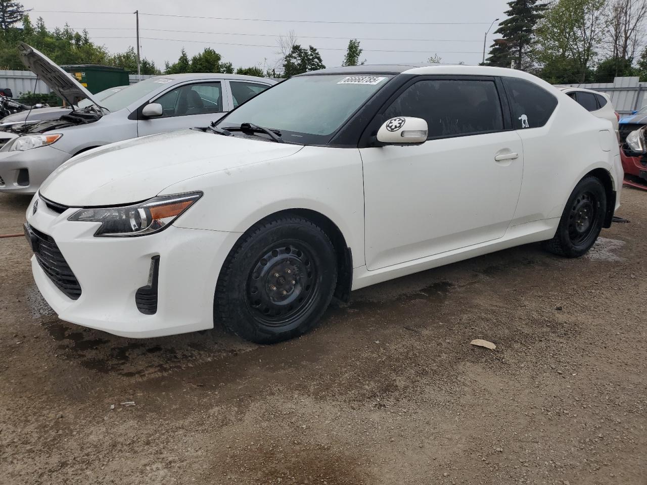 TOYOTA SCION TC