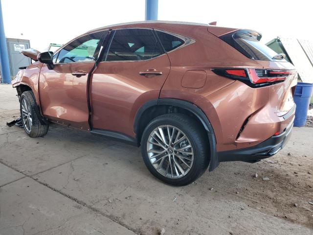 2025 LEXUS NX 350H BASE 2T2GKCEZ5SC033453