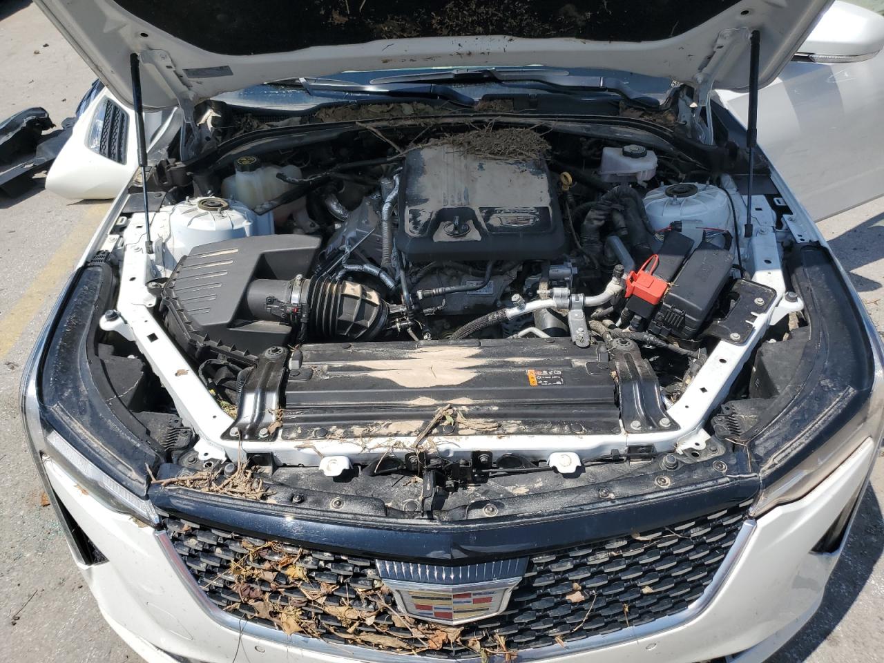 CADILLAC CT4 PREMIUM LUXURY