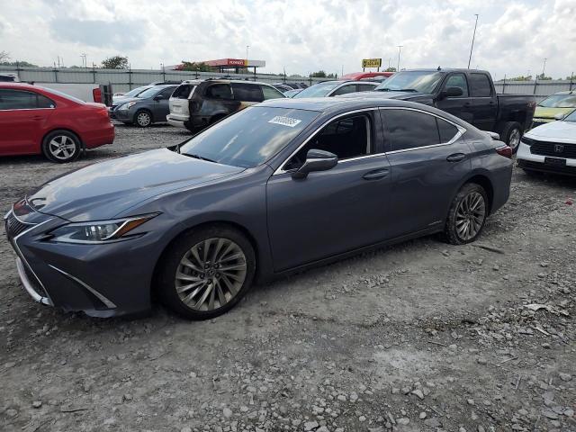 LEXUS ES 300H LUXURY