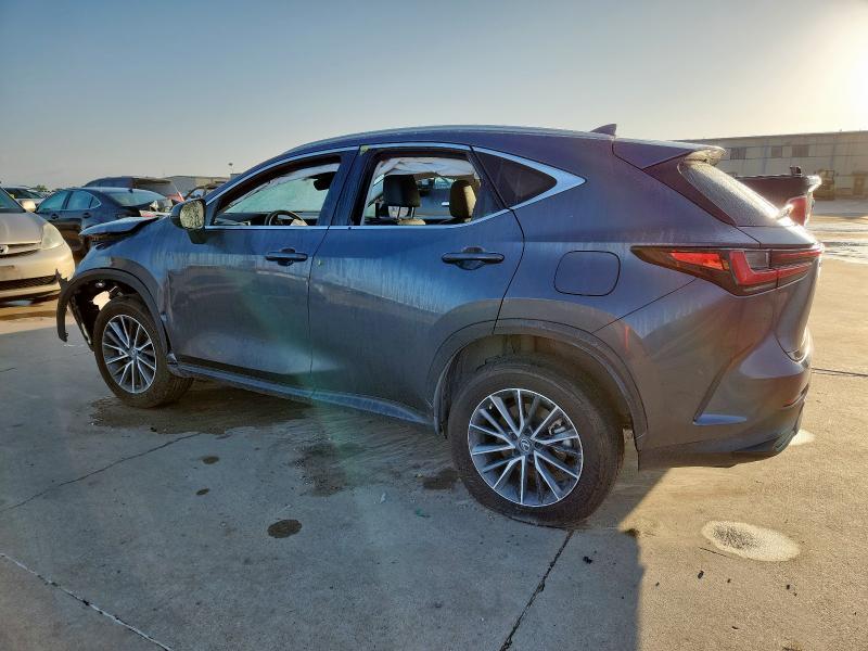2022 LEXUS NX 250 JTJGDCAZ8N5003821