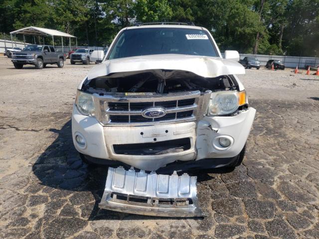 2010 FORD ESCAPE LIM - 1FMCU0E74AKD37134