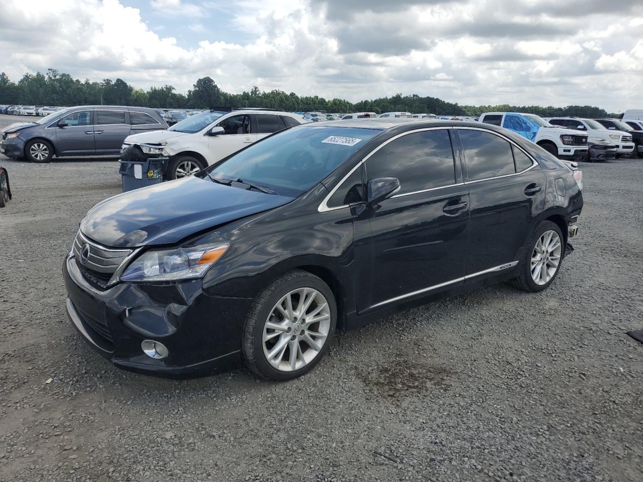 LEXUS HS 250H