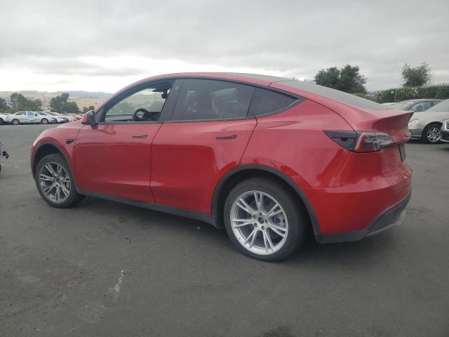 2021 TESLA MODEL Y 5YJYGDEE1MF218742