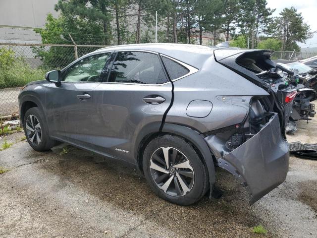 2021 LEXUS NX 300H BA JTJGJRDZ8M2154097