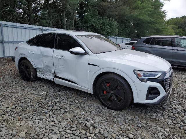 2024 AUDI Q8 E-TRON WA1CAAGE3RB007845