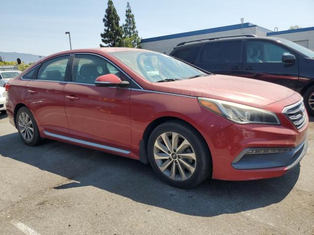 2017 HYUNDAI SONATA SPO 5NPE34AFXHH507834