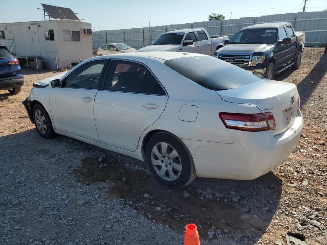 2010 TOYOTA CAMRY BASE - JTNBF3EK6A3001233