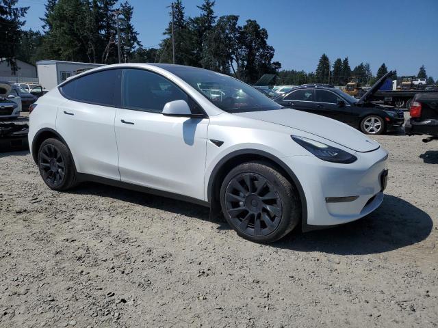 2023 TESLA MODEL Y 7SAYGDEE7PA071038