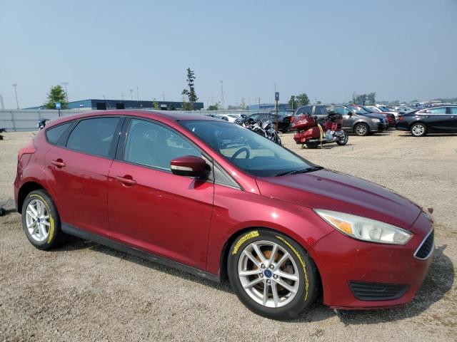 2016 FORD FOCUS SE 1FADP3K21GL356372