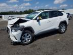 2020 TOYOTA RAV4 LE - 2T3G1RFV3LW093163