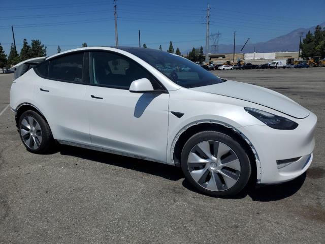 2021 TESLA MODEL Y 5YJYGDEE7MF160412