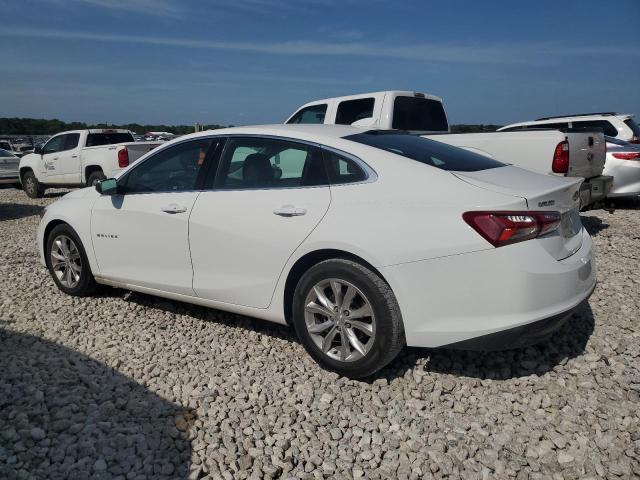 2019 CHEVROLET MALIBU LT - 1G1ZD5ST3KF176436