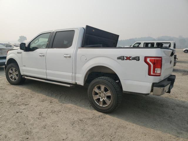 2016 FORD F150 SUPER - 1FTEW1EG9GKD57448