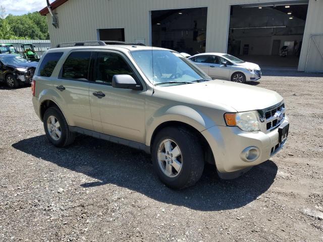 2011 FORD ESCAPE XLT - 1FMCU9DG8BKB99556